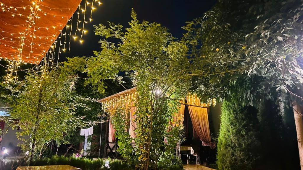 Green House Eco Hotel Samarkand Luaran gambar